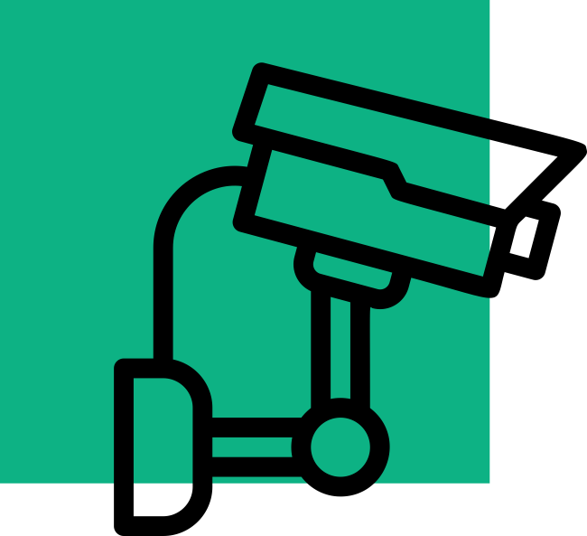 CCTV & Video Analytics 
